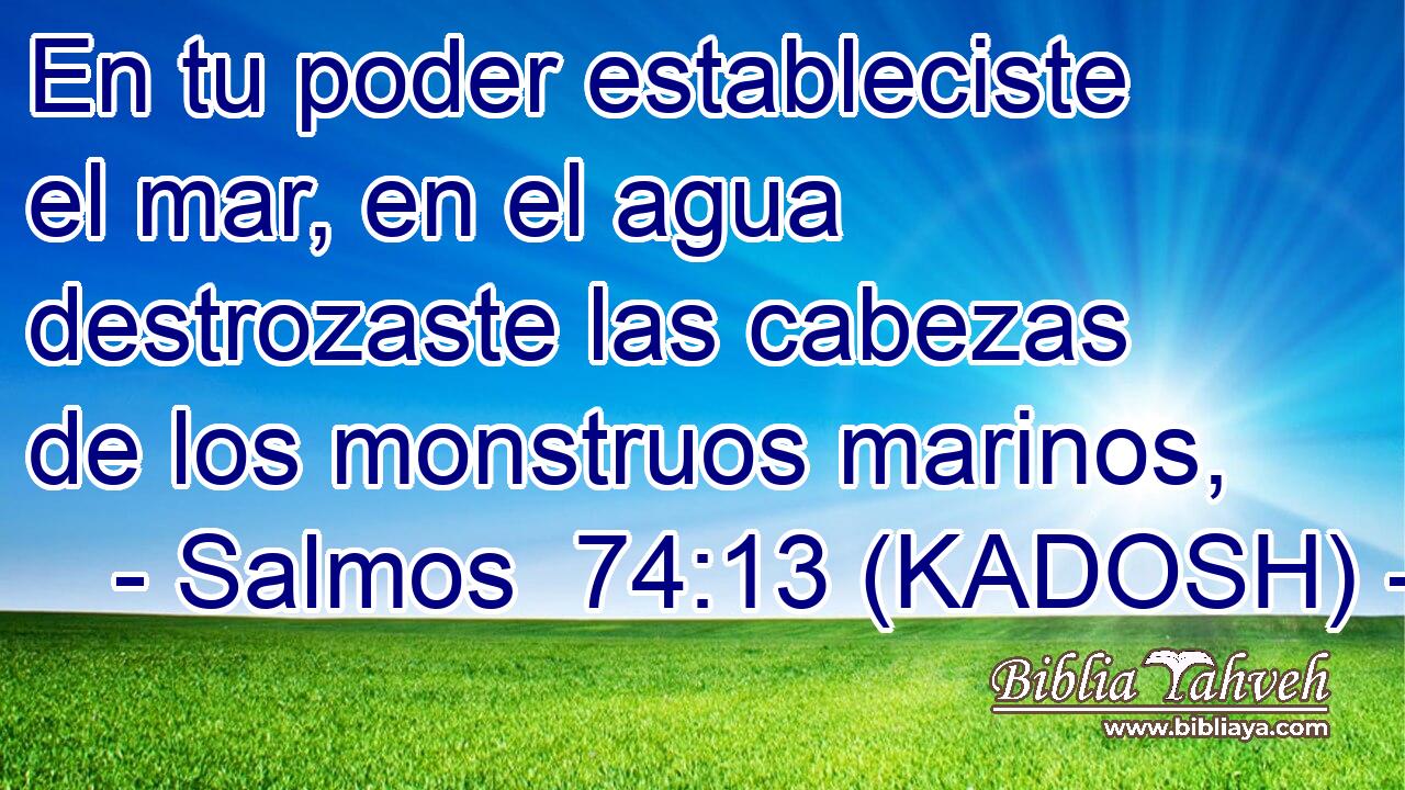  En tu poder estableciste el mar, en el agua destrozaste las cabezas de los monstruos marinos, 
