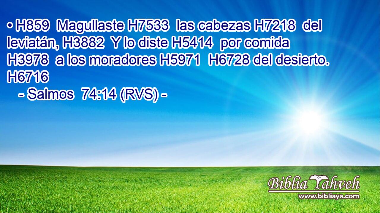 • H859  Magullaste H7533  las cabezas H7218  del leviatán, H3882  Y lo diste H5414  por comida H3978  a los moradores H5971  H6728 del desierto. H6716  