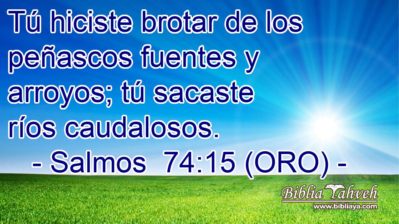  Tú hiciste brotar de los peñascos fuentes y arroyos; tú sacaste ríos caudalosos. 