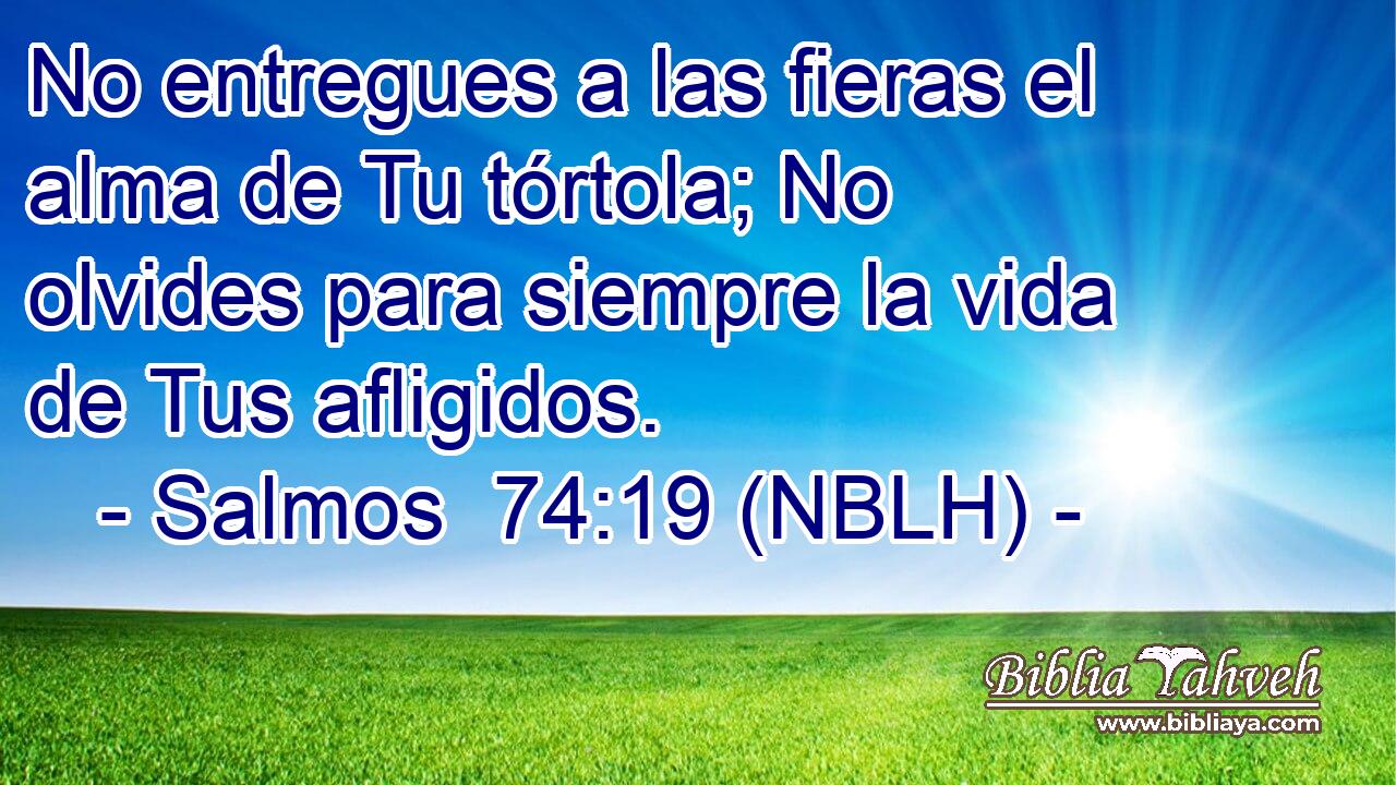  No entregues a las fieras el alma de Tu tórtola; No olvides para siempre la vida de Tus afligidos. 