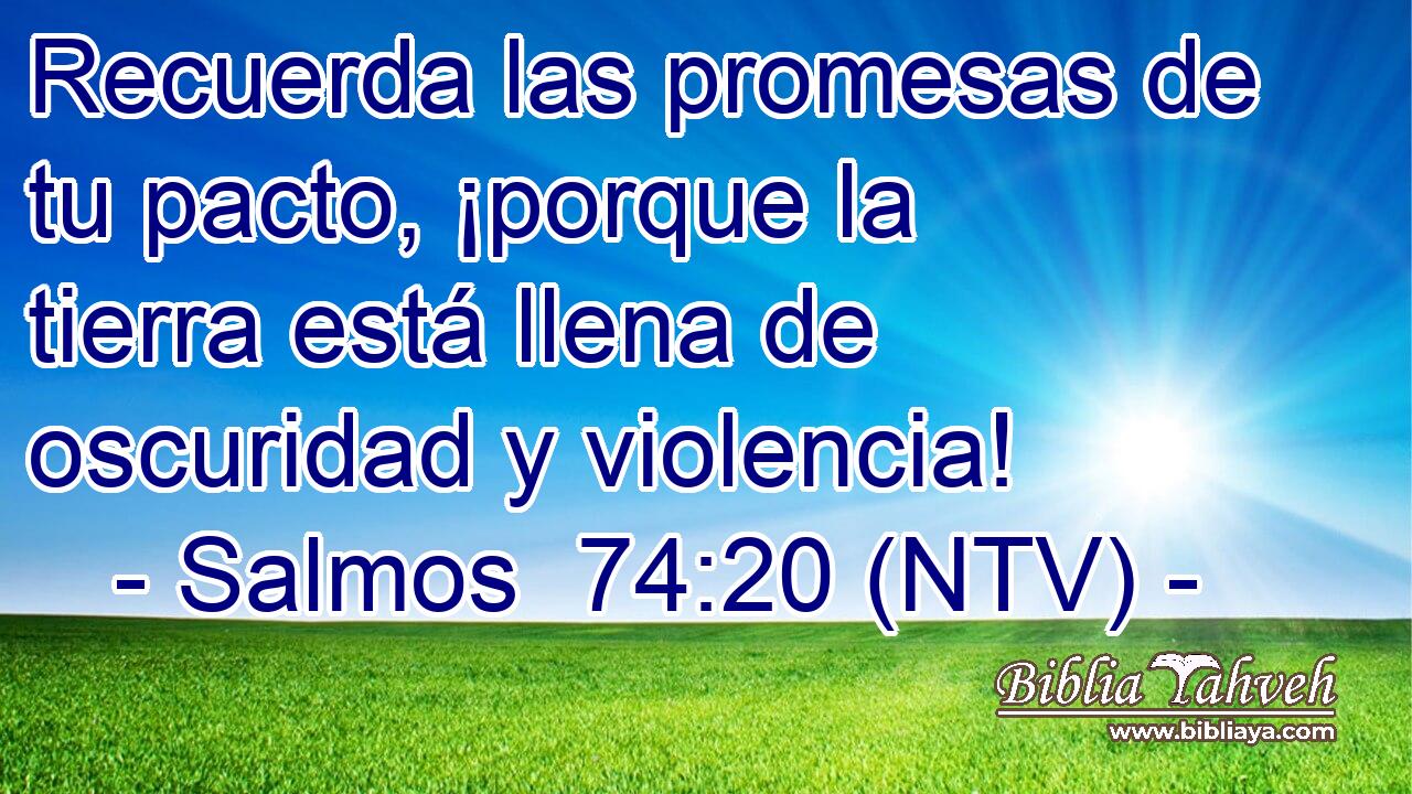 Recuerda las promesas de tu pacto, ¡porque la tierra está llena de oscuridad y violencia!