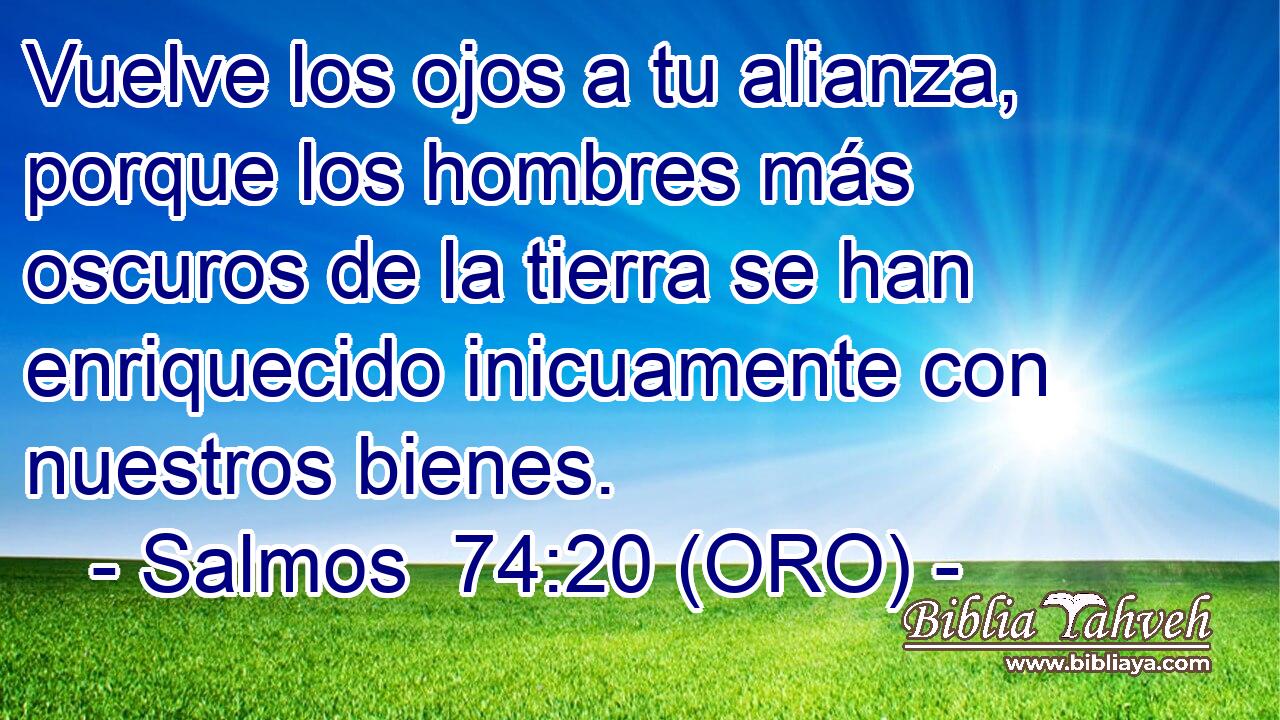  Vuelve los ojos a tu alianza, porque los hombres más oscuros de la tierra se han enriquecido inicuamente con nuestros bienes. 