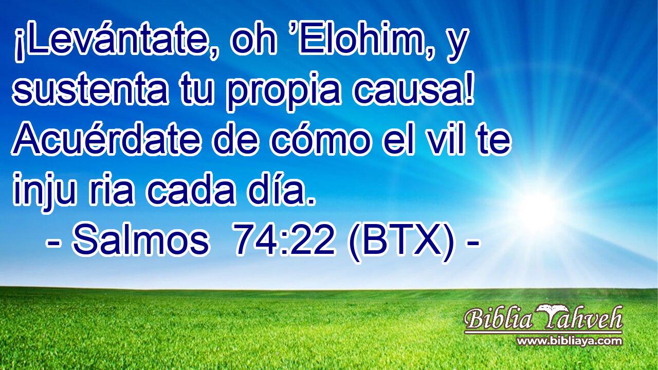 ¡Levántate, oh ’Elohim, y sustenta tu propia causa! Acuérdate de cómo el vil te inju ria cada día.