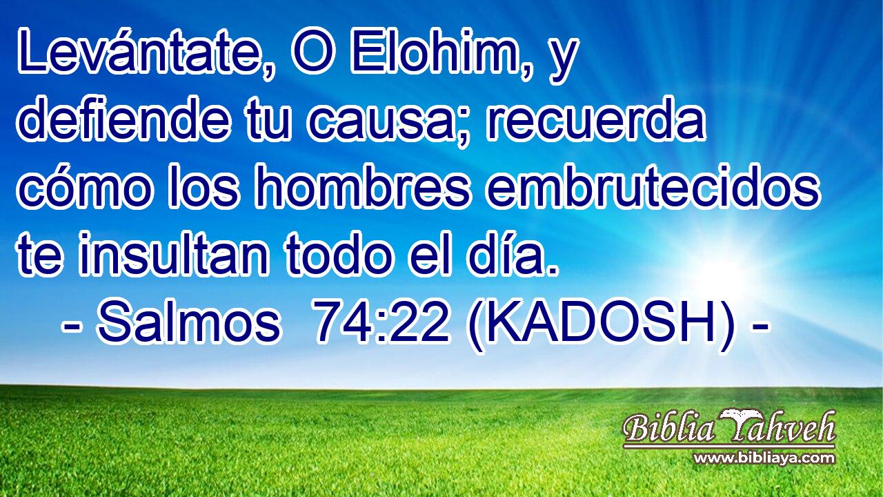  Levántate, O Elohim, y defiende tu causa; recuerda cómo los hombres embrutecidos te insultan todo el día. 