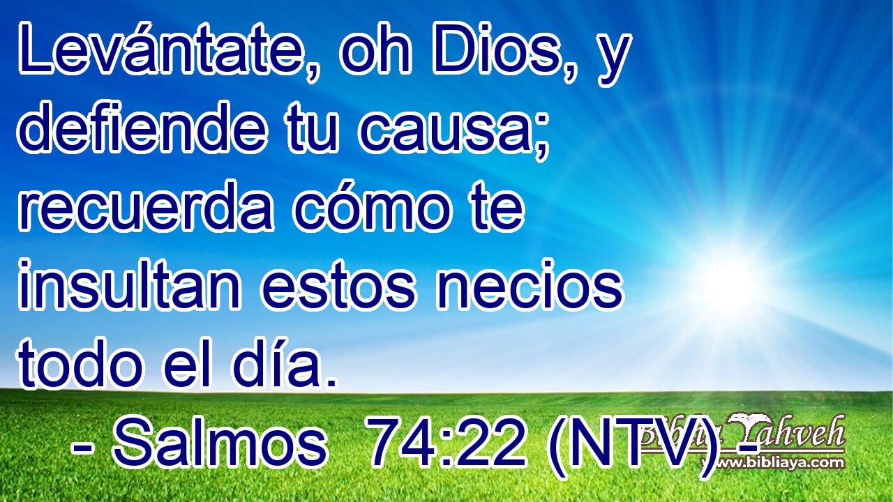 Levántate, oh Dios, y defiende tu causa; recuerda cómo te insultan estos necios todo el día.