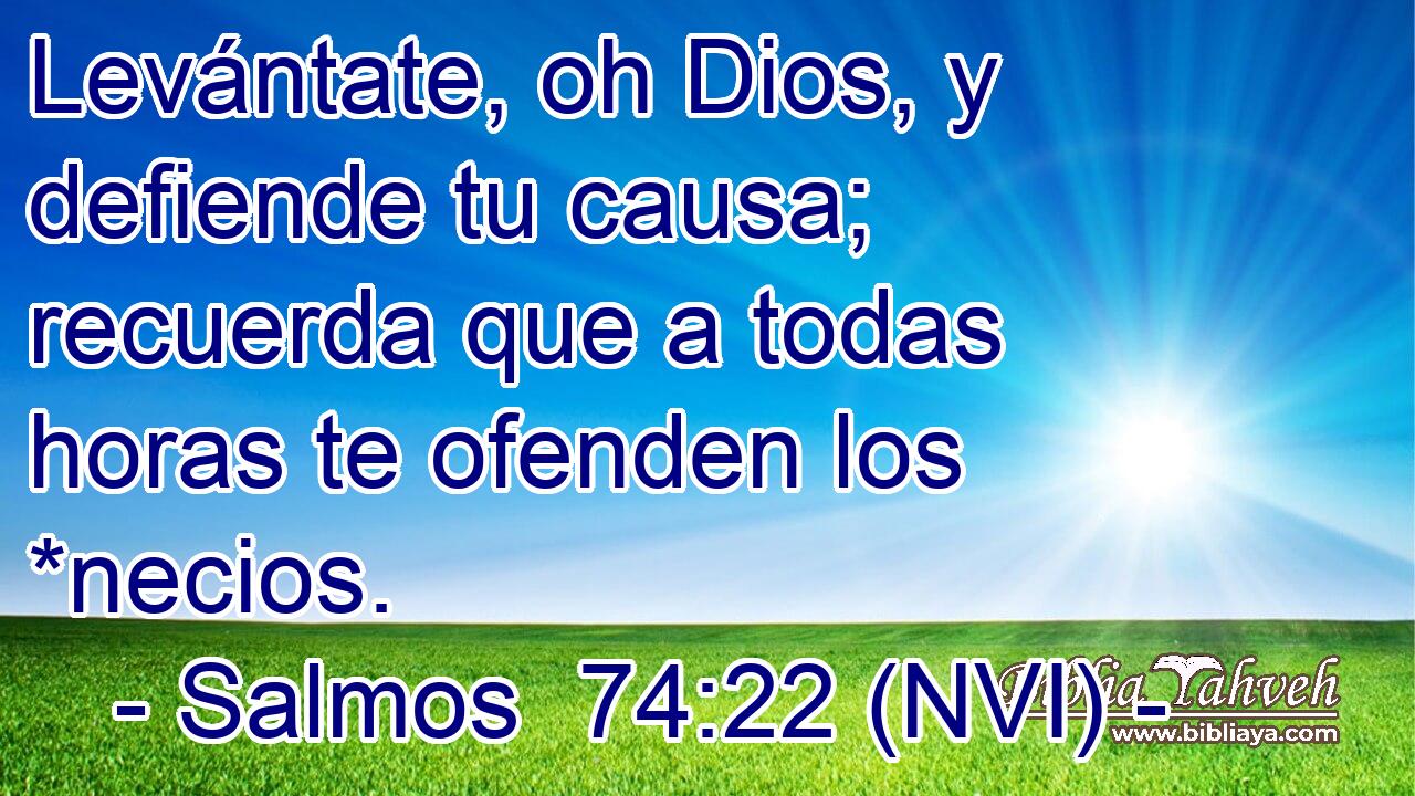  Levántate, oh Dios, y defiende tu causa; recuerda que a todas horas te ofenden los *necios. 