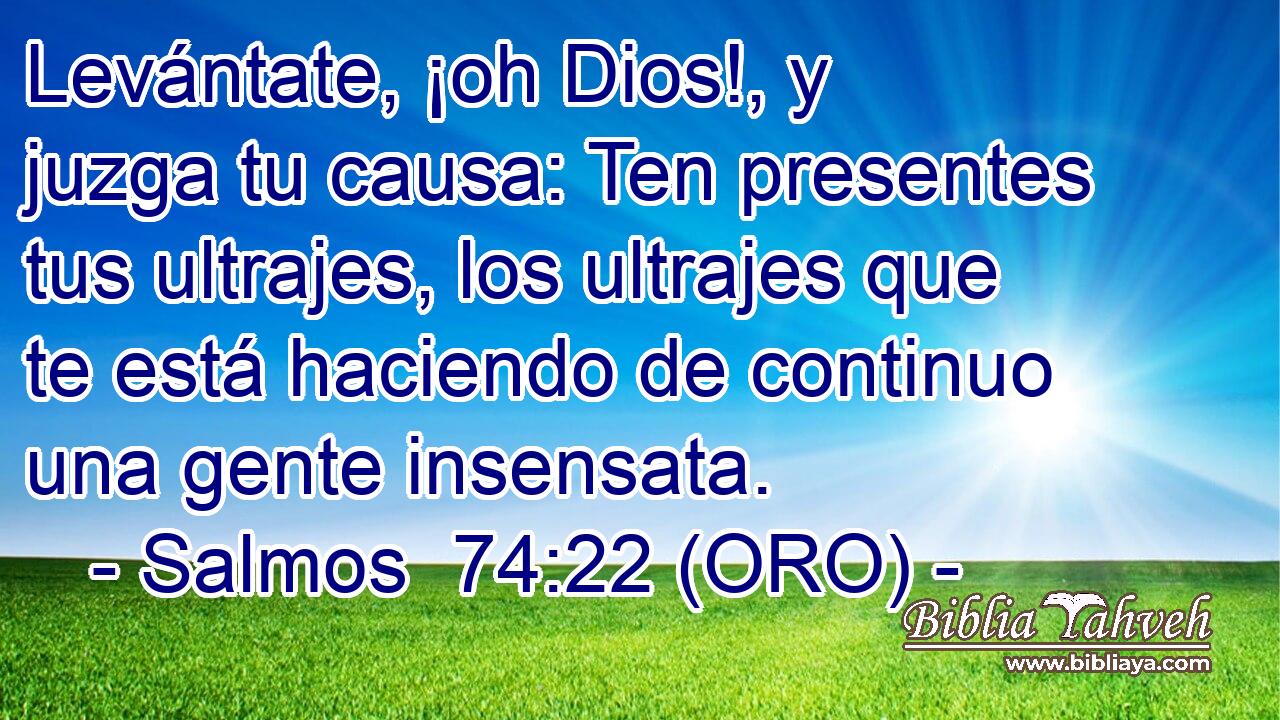  Levántate, ¡oh Dios!, y juzga tu causa: Ten presentes tus ultrajes, los ultrajes que te está haciendo de continuo una gente insensata. 