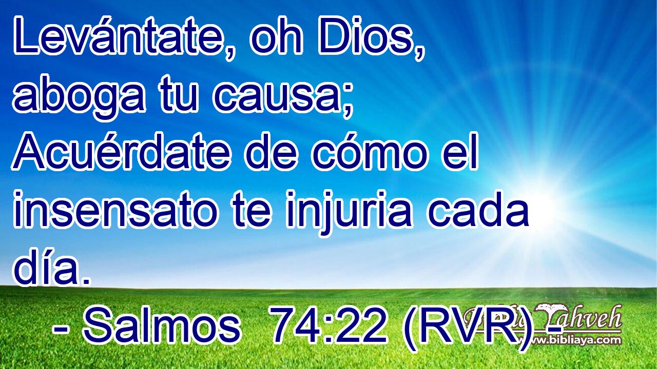Levántate, oh Dios, aboga tu causa; Acuérdate de cómo el insensato te injuria cada día.