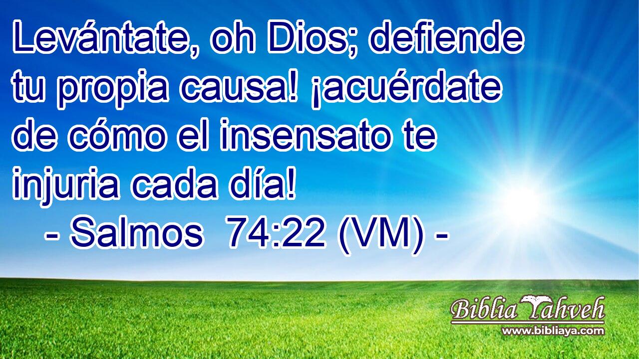 Levántate, oh Dios; defiende tu propia causa! ¡acuérdate de cómo el insensato te injuria cada día! 