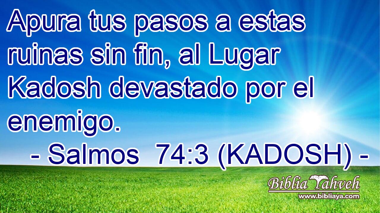  Apura tus pasos a estas ruinas sin fin, al Lugar Kadosh devastado por el enemigo. 