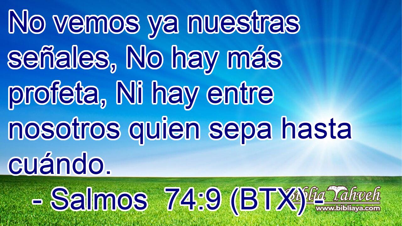 No vemos ya nuestras señales, No hay más profeta, Ni hay entre nosotros quien sepa hasta cuándo.