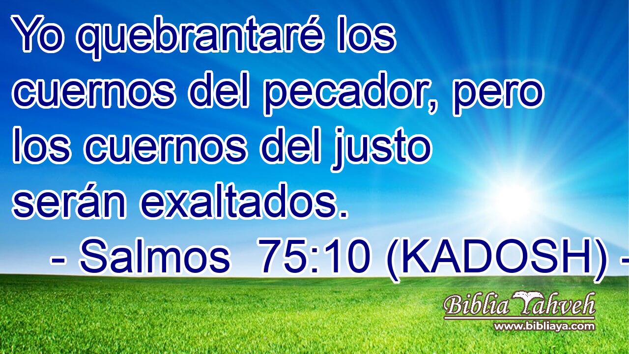  Yo quebrantaré los cuernos del pecador, pero los cuernos del justo serán exaltados. 