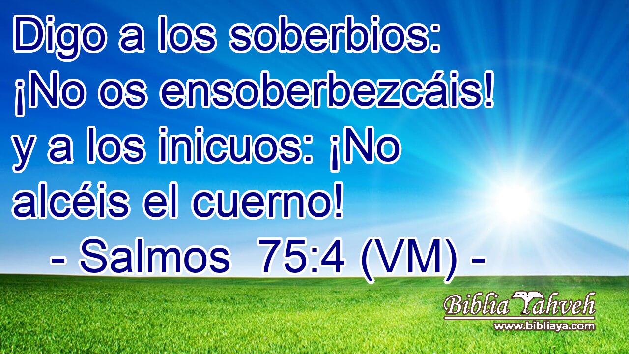  Digo a los soberbios: ¡No os ensoberbezcáis! y a los inicuos: ¡No alcéis el cuerno! 