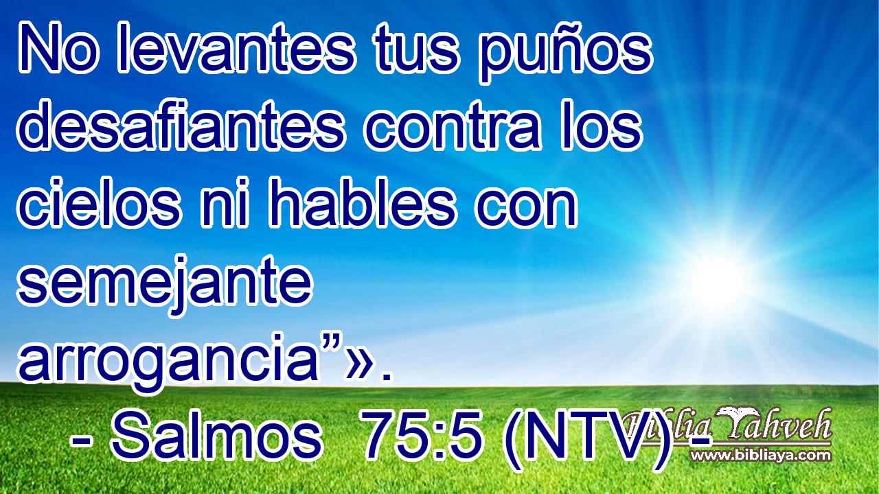 No levantes tus puños desafiantes contra los cielos ni hables con semejante arrogancia”».