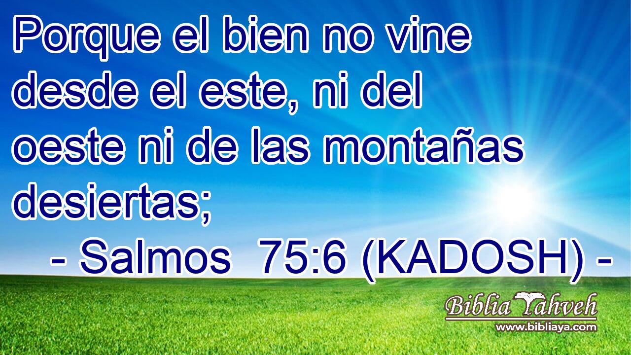  Porque el bien no vine desde el este, ni del oeste ni de las montañas desiertas; 