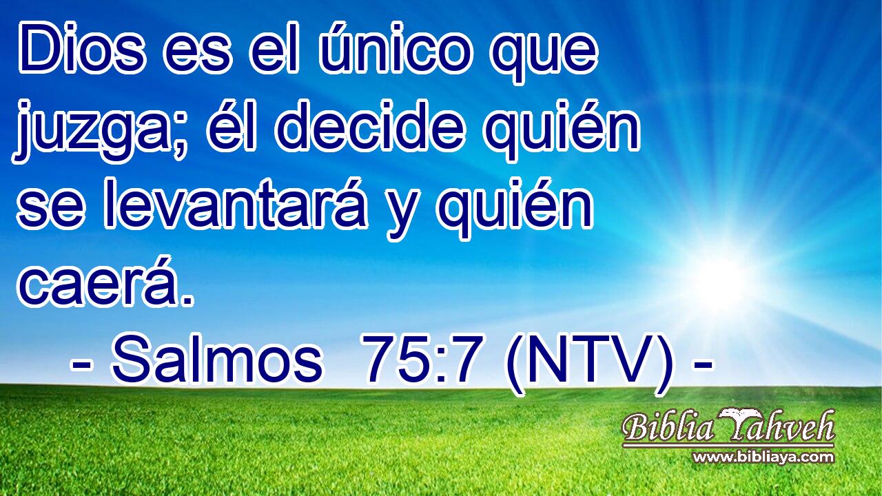Dios es el único que juzga; él decide quién se levantará y quién caerá.