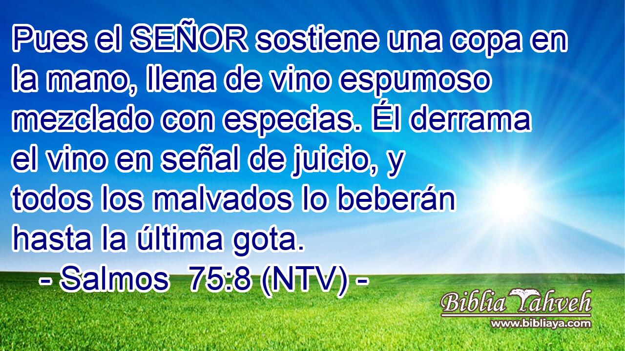Pues el SEÑOR sostiene una copa en la mano, llena de vino espumoso mezclado con especias. Él derrama el vino en señal de juicio, y todos los malvados lo beberán hasta la última gota.