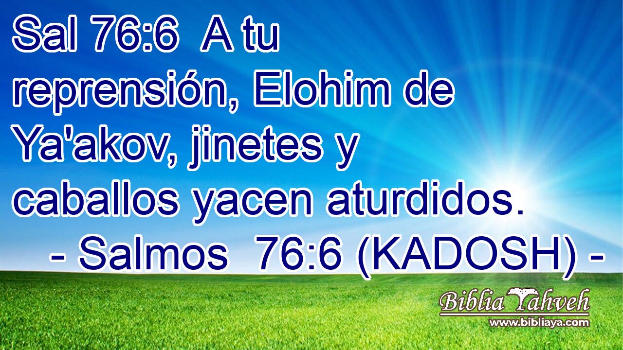  A tu reprensión, Elohim de Ya'akov, jinetes y caballos yacen aturdidos. 