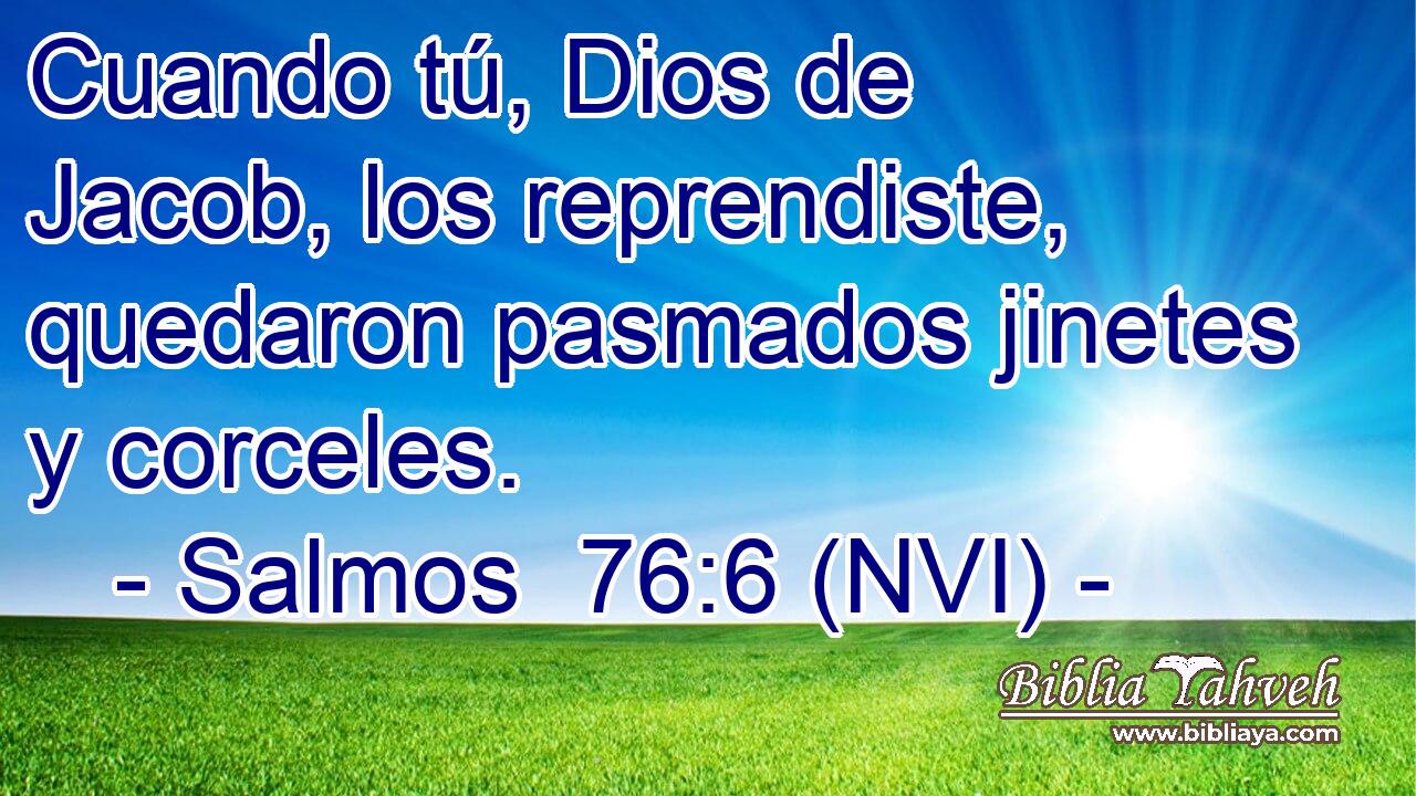  Cuando tú, Dios de Jacob, los reprendiste, quedaron pasmados jinetes y corceles. 