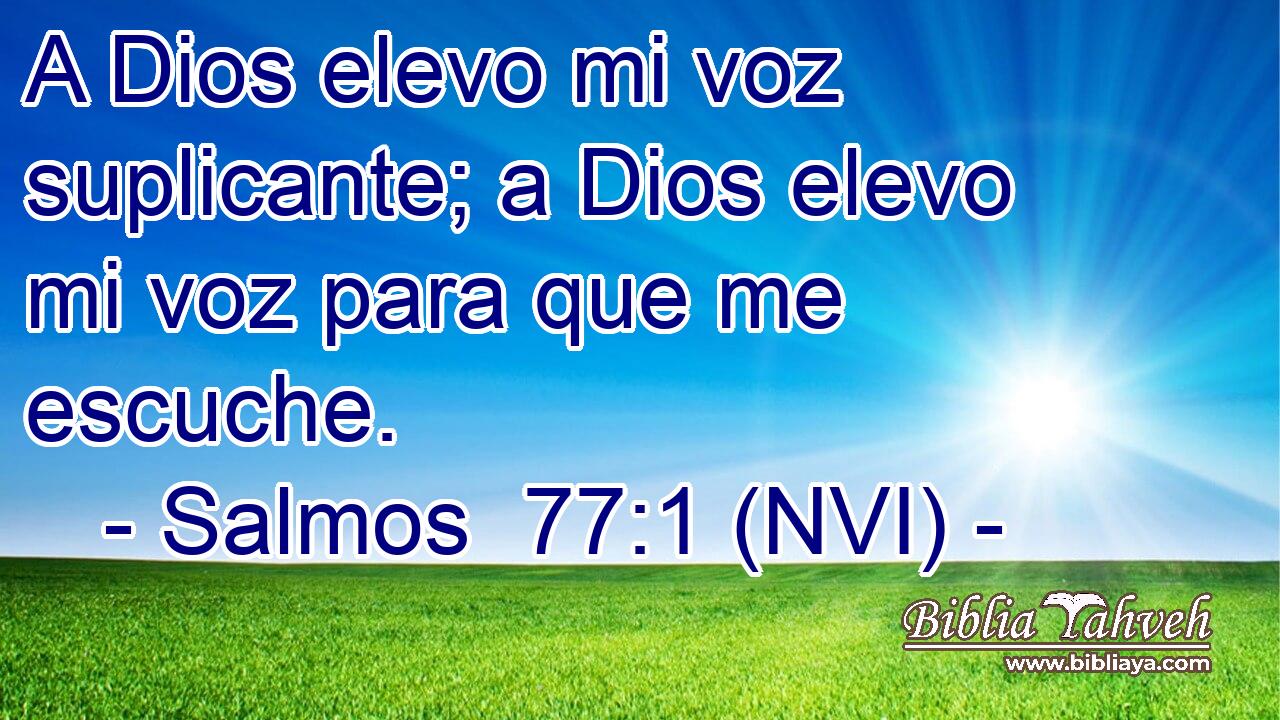  A Dios elevo mi voz suplicante; a Dios elevo mi voz para que me escuche. 