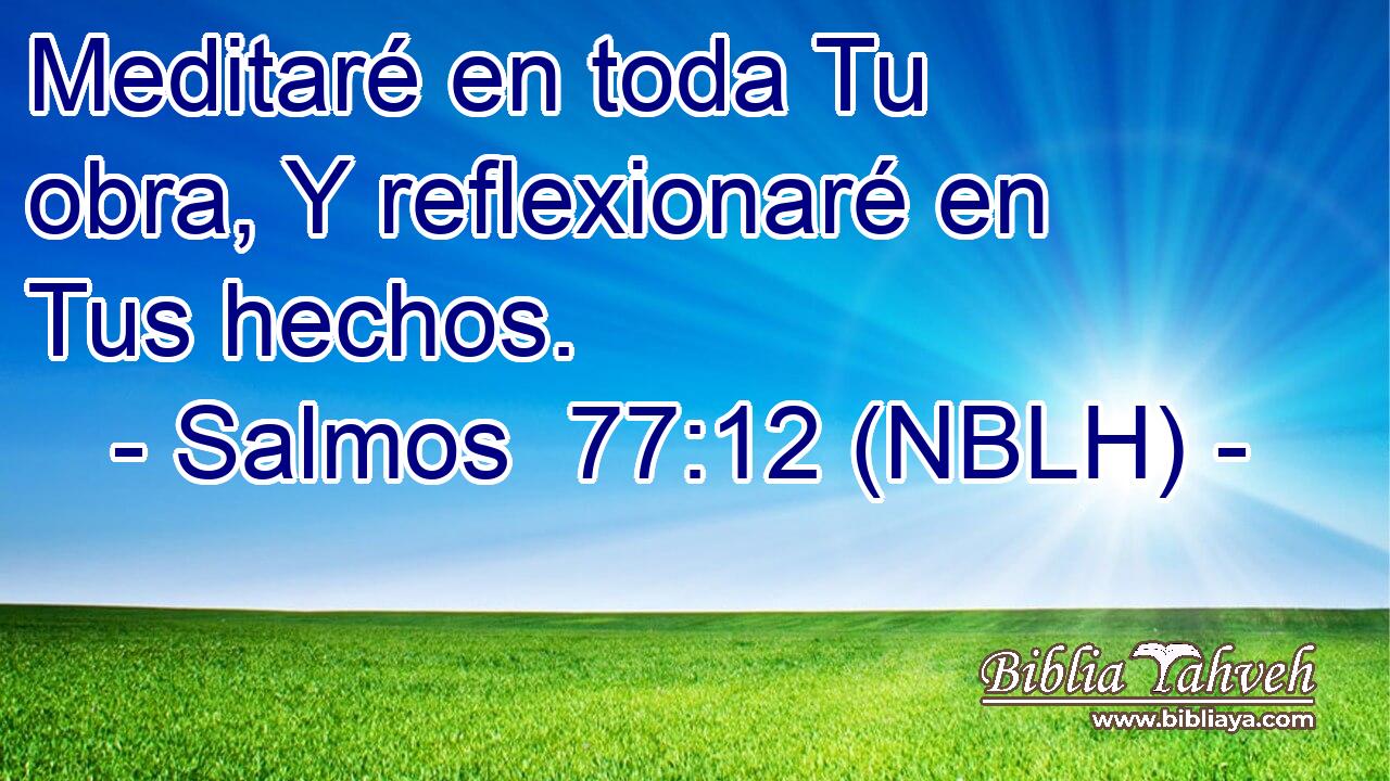  Meditaré en toda Tu obra, Y reflexionaré en Tus hechos. 