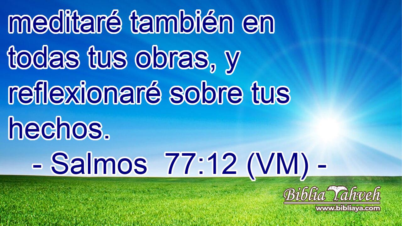 meditaré también en todas tus obras, y reflexionaré sobre tus hechos. 