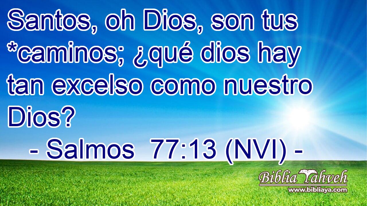  Santos, oh Dios, son tus *caminos; ¿qué dios hay tan excelso como nuestro Dios? 