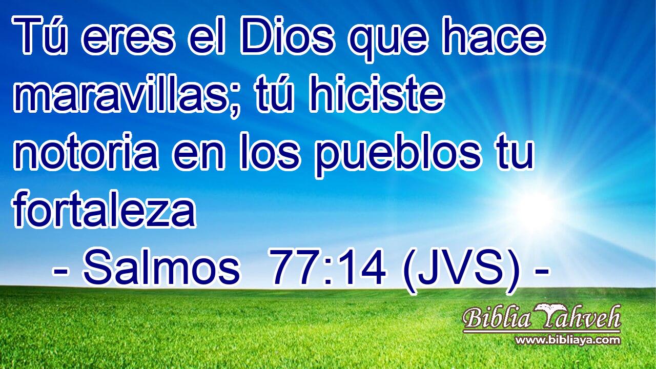 Tú eres el Dios que hace maravillas; tú hiciste notoria en los pueblos tu fortaleza