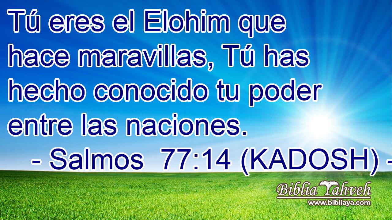  Tú eres el Elohim que hace maravillas, Tú has hecho conocido tu poder entre las naciones. 