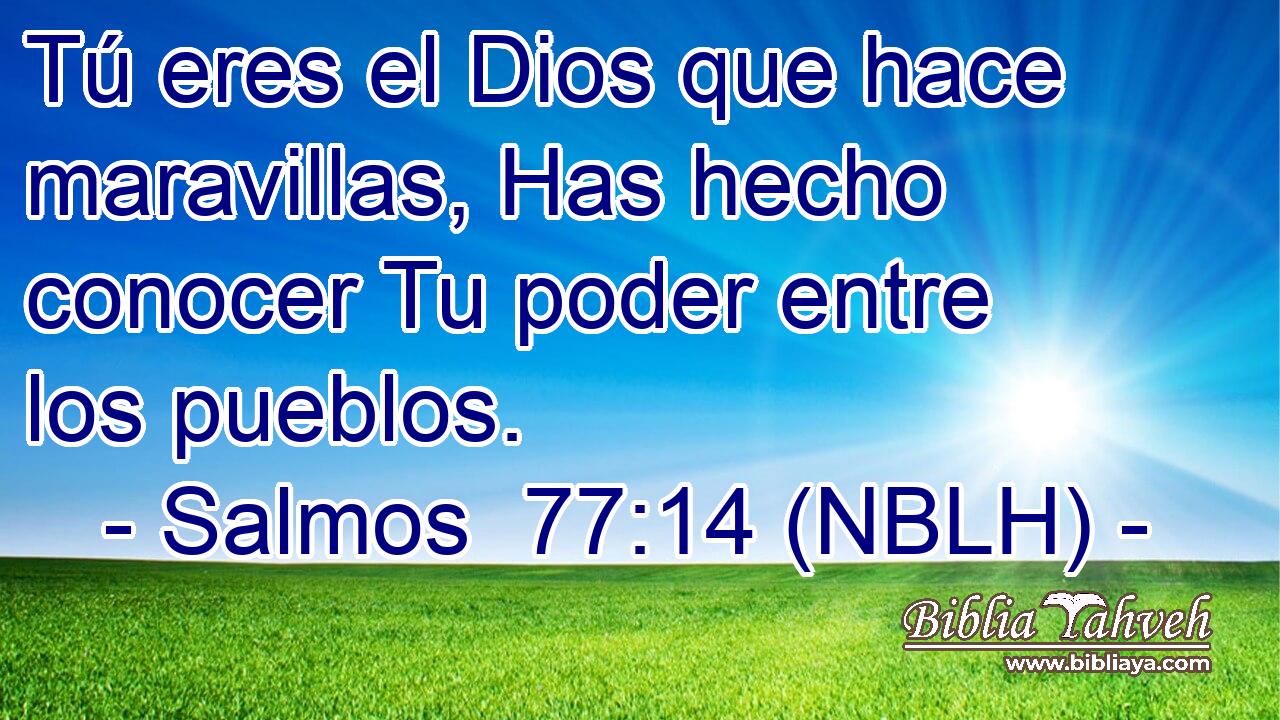  Tú eres el Dios que hace maravillas, Has hecho conocer Tu poder entre los pueblos. 
