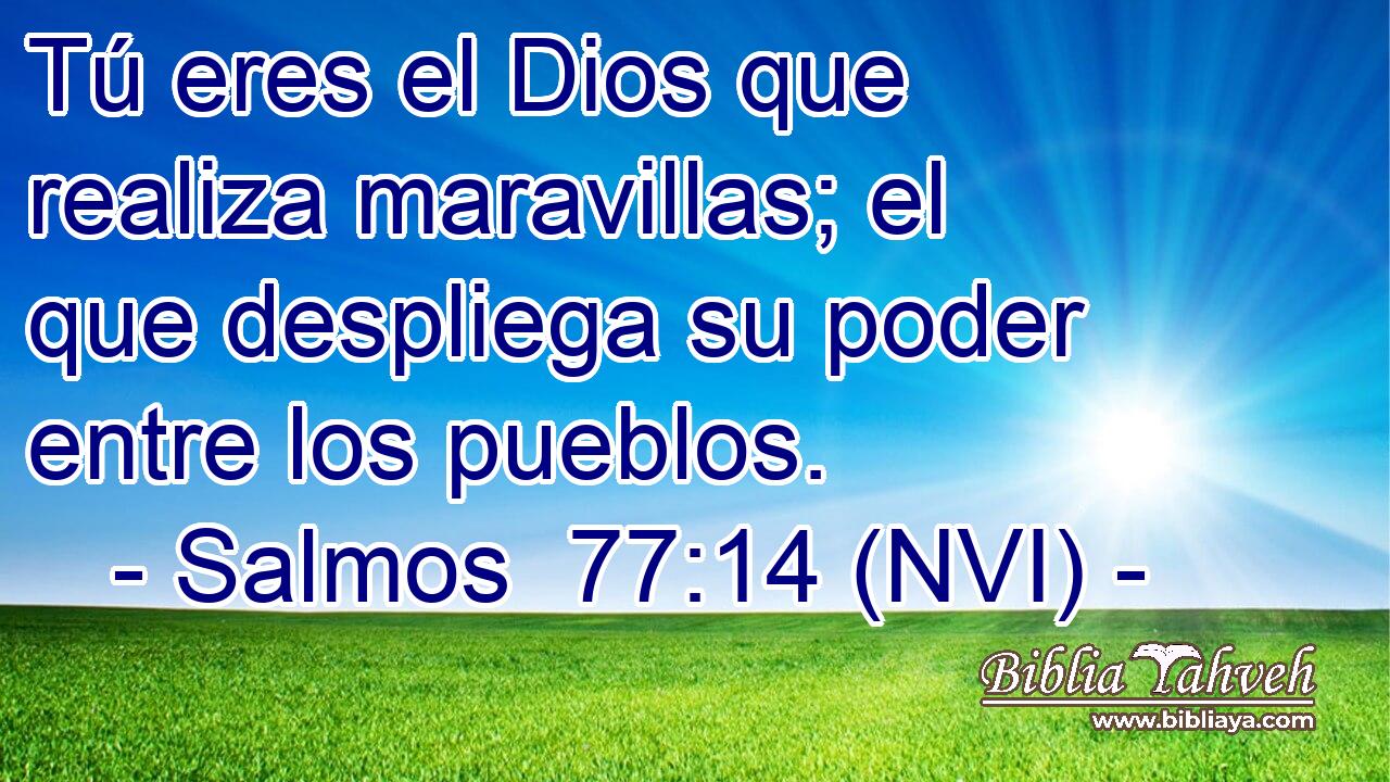  Tú eres el Dios que realiza maravillas; el que despliega su poder entre los pueblos. 