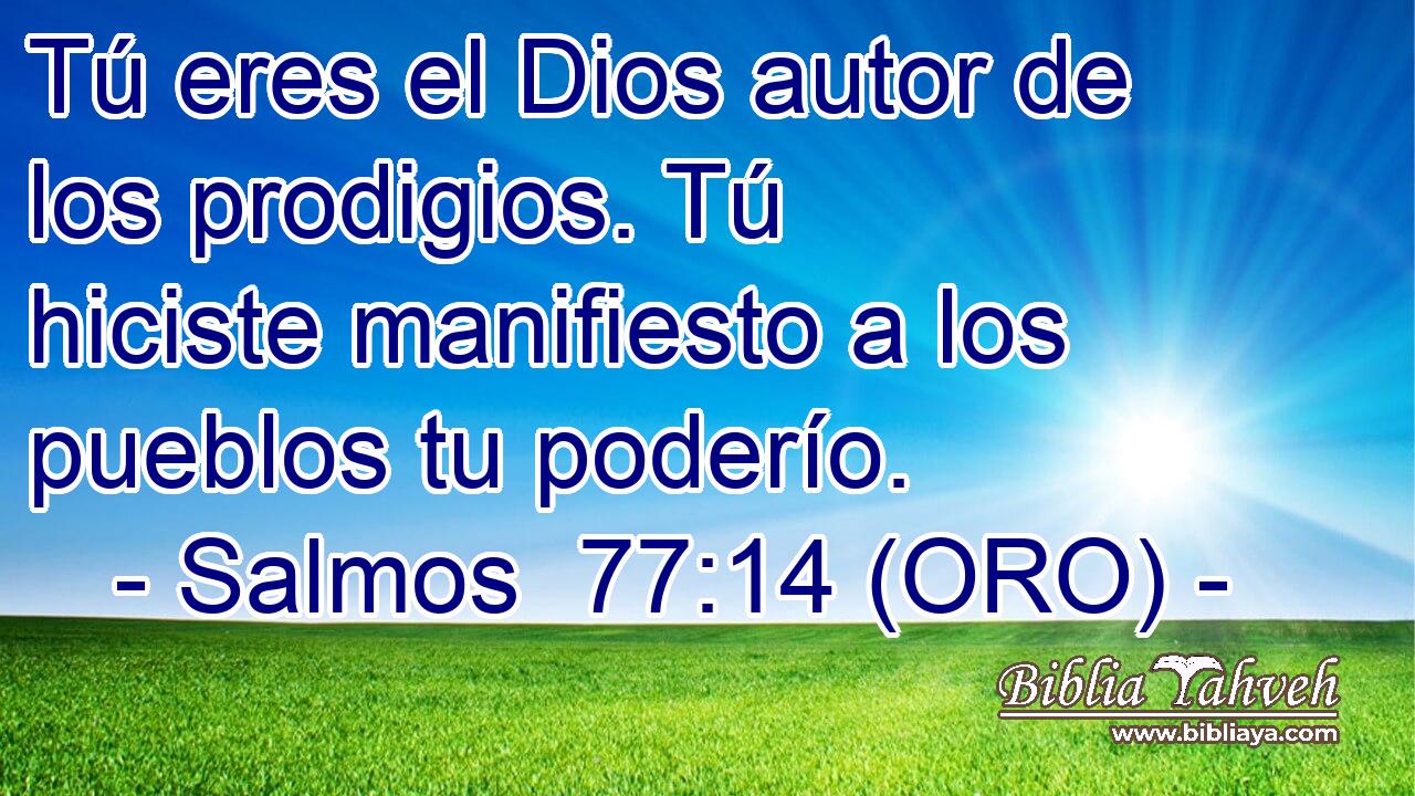  Tú eres el Dios autor de los prodigios. Tú hiciste manifiesto a los pueblos tu poderío. 