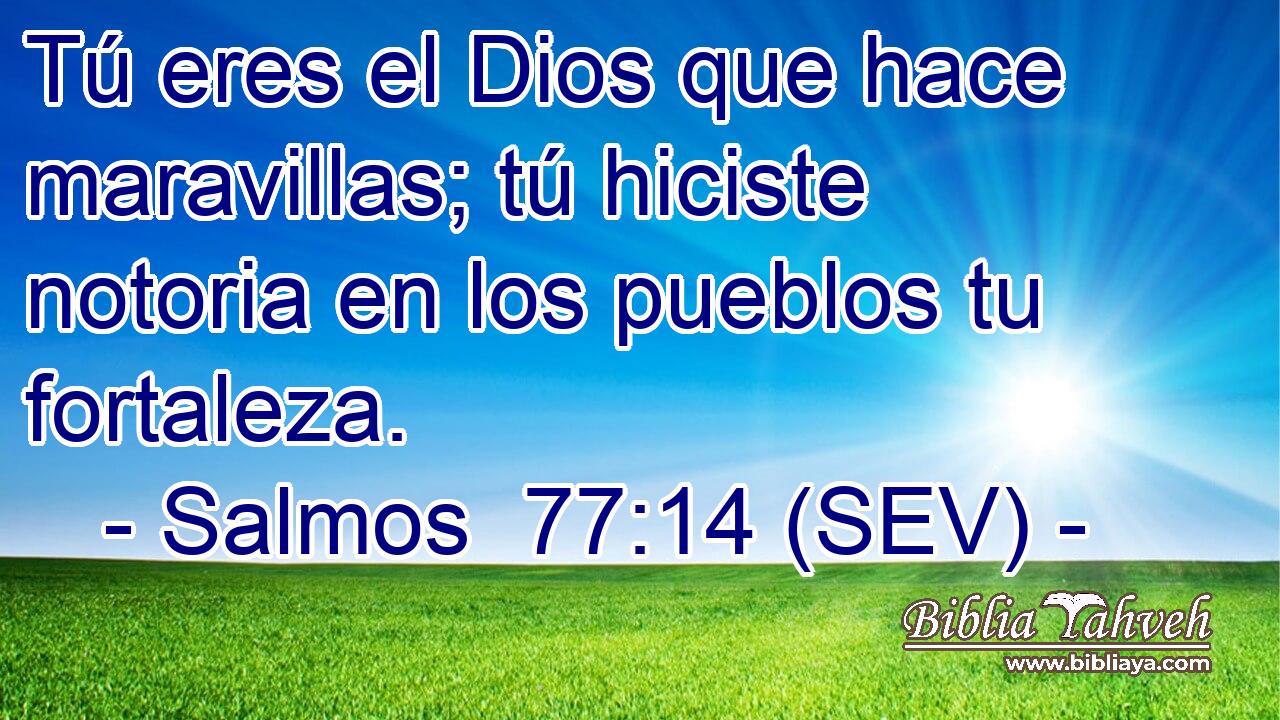 Tú eres el Dios que hace maravillas; tú hiciste notoria en los pueblos tu fortaleza.