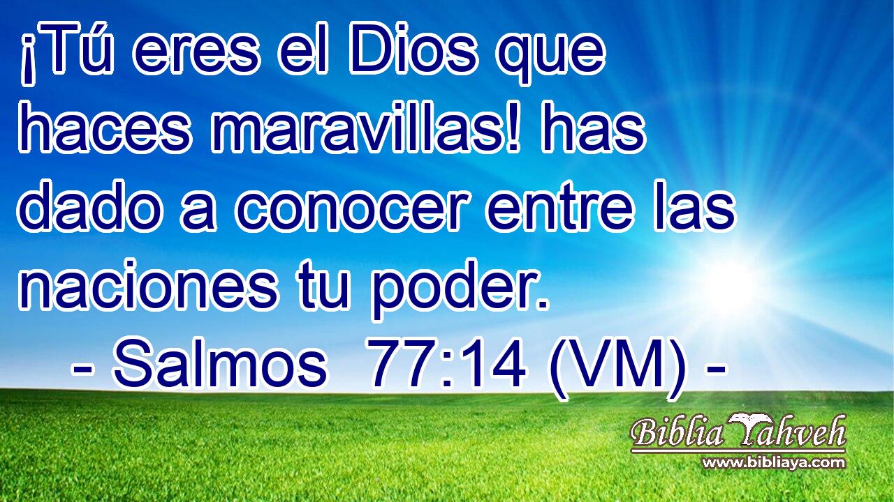  ¡Tú eres el Dios que haces maravillas! has dado a conocer entre las naciones tu poder. 