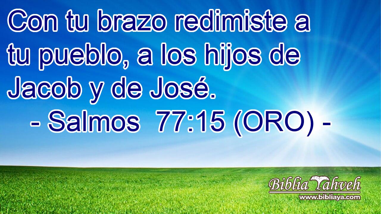  Con tu brazo redimiste a tu pueblo, a los hijos de Jacob y de José. 