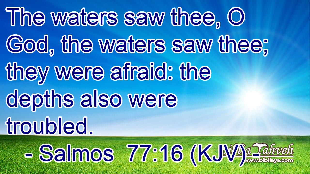 The waters saw thee, O God, the waters saw thee; they were afraid: the depths also were troubled.