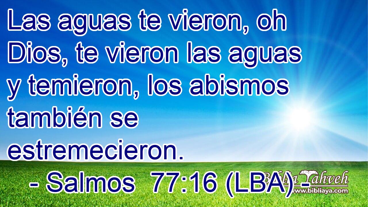 Las aguas te vieron, oh Dios, te vieron las aguas y temieron, los abismos también se estremecieron.