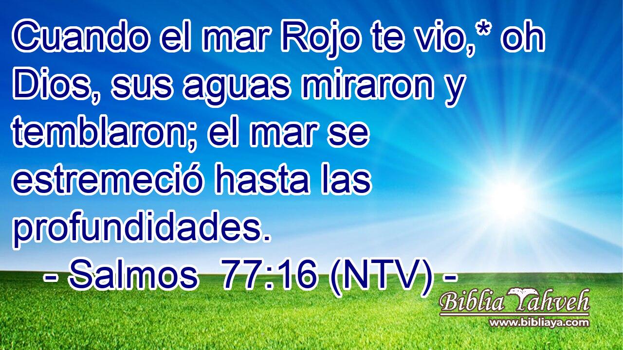 Cuando el mar Rojo te vio,* oh Dios, sus aguas miraron y temblaron; el mar se estremeció hasta las profundidades.