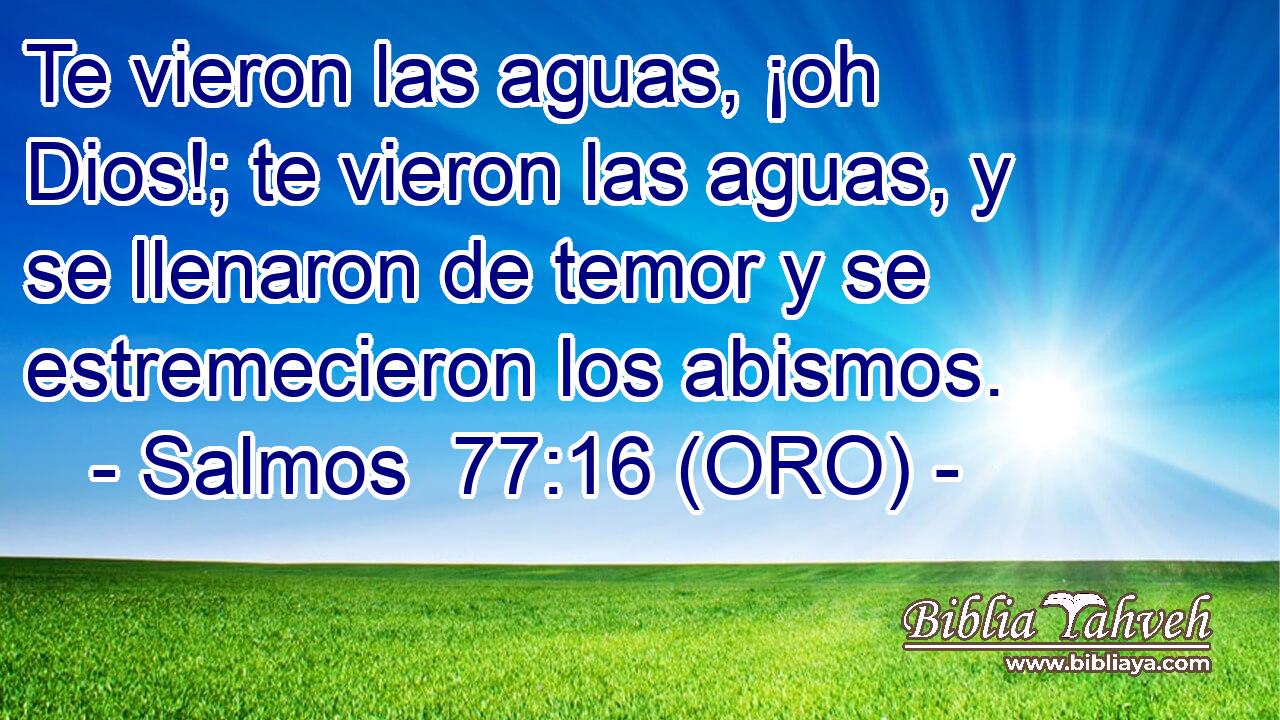 Te vieron las aguas, ¡oh Dios!; te vieron las aguas, y se llenaron de temor y se estremecieron los abismos. 