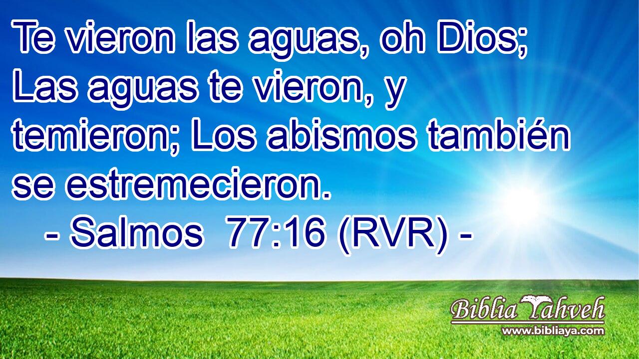 Te vieron las aguas, oh Dios; Las aguas te vieron, y temieron; Los abismos también se estremecieron.