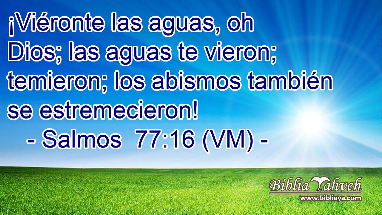  ¡Viéronte las aguas, oh Dios; las aguas te vieron; temieron; los abismos también se estremecieron! 