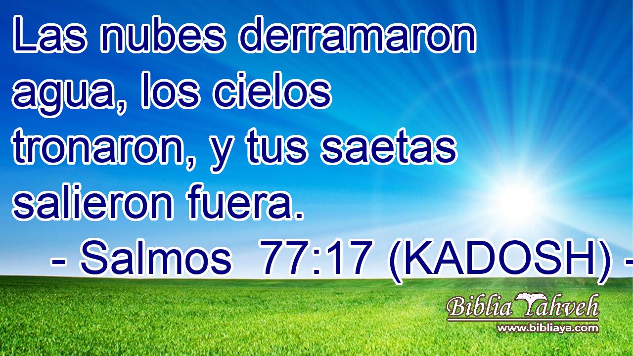  Las nubes derramaron agua, los cielos tronaron, y tus saetas salieron fuera. 