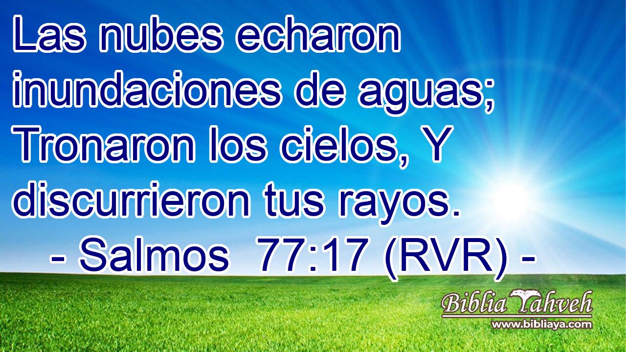 Las nubes echaron inundaciones de aguas; Tronaron los cielos, Y discurrieron tus rayos.