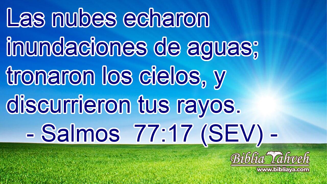 Las nubes echaron inundaciones de aguas; tronaron los cielos, y discurrieron tus rayos.
