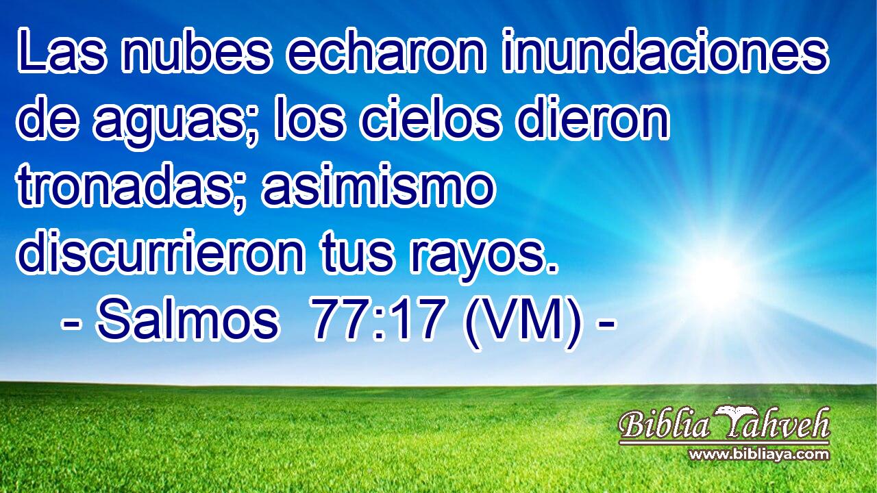  Las nubes echaron inundaciones de aguas; los cielos dieron tronadas; asimismo discurrieron tus rayos. 