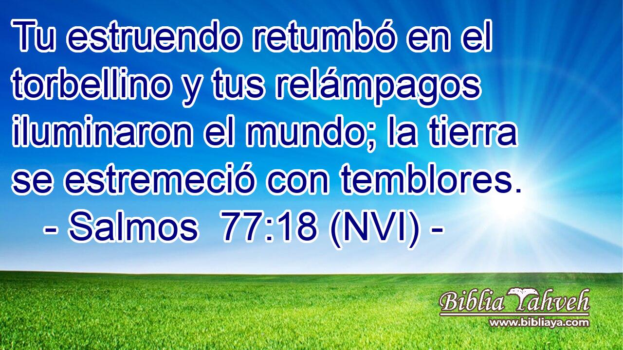  Tu estruendo retumbó en el torbellino y tus relámpagos iluminaron el mundo; la tierra se estremeció con temblores. 
