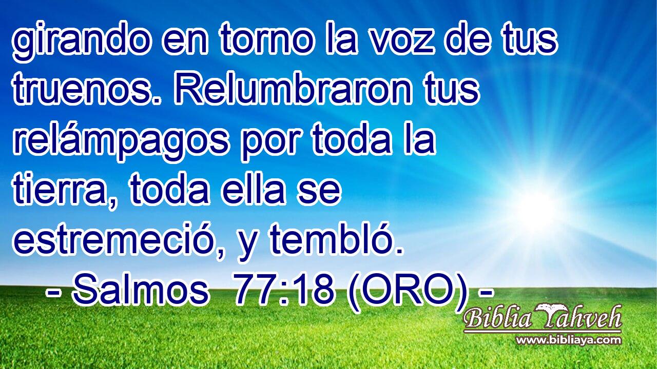  girando en torno la voz de tus truenos. Relumbraron tus relámpagos por toda la tierra, toda ella se estremeció, y tembló. 
