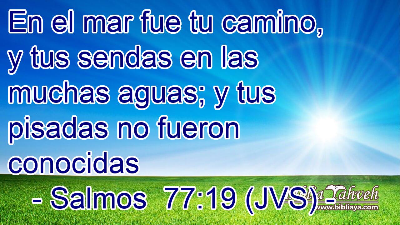 En el mar fue tu camino, y tus sendas en las muchas aguas; y tus pisadas no fueron conocidas
