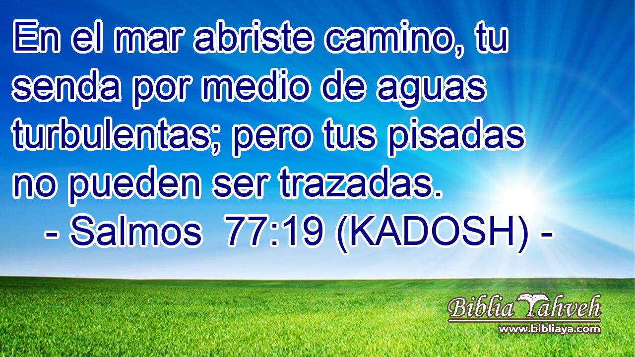  En el mar abriste camino, tu senda por medio de aguas turbulentas; pero tus pisadas no pueden ser trazadas. 