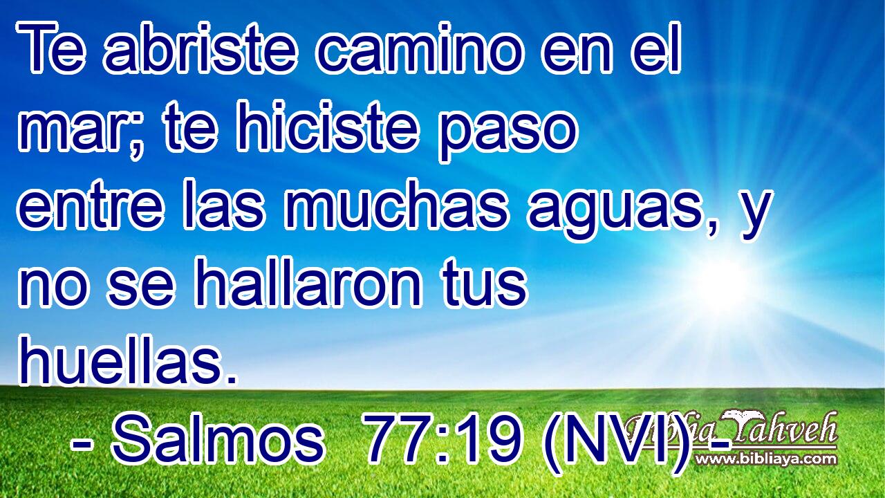  Te abriste camino en el mar; te hiciste paso entre las muchas aguas, y no se hallaron tus huellas. 